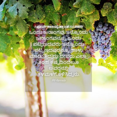 Picture 04 - 2 ಪೂರ್ವಕಾಲವೃತ್ತಾಂತ 15:6 KANIRV - ಒಂದು ಜನಾಂಗವು - Bible Verse Picture