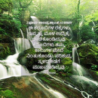 Picture 04 - 2 ಪೂರ್ವಕಾಲವೃತ್ತಾಂತ 3:13 KANIRV - ಈ ಕೆರೂಬಿಗಳ - Bible Verse Picture
