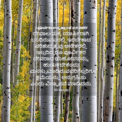 Picture 04 - 2 ಪೂರ್ವಕಾಲವೃತ್ತಾಂತ 30:19 KANIRV - ದೇವಾಲಯಕ್ಕೆ - Bible Verse Picture