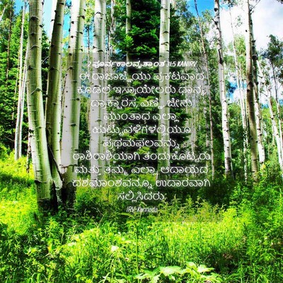 Picture 04 - 2 ಪೂರ್ವಕಾಲವೃತ್ತಾಂತ 31:5 KANIRV - ಈ ರಾಜಾಜ್ಞೆಯು - Bible Verse Picture