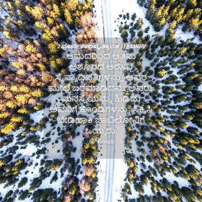 Picture 04 - 2 ಪೂರ್ವಕಾಲವೃತ್ತಾಂತ 33:11 KANIRV - ಆದುದರಿಂದ ಆತನು - Bible Verse Picture