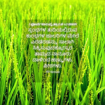 Picture 04 - 2 ಪೂರ್ವಕಾಲವೃತ್ತಾಂತ 4:13 KANIRV - ಸ್ತಂಭಗಳ - Bible Verse Picture