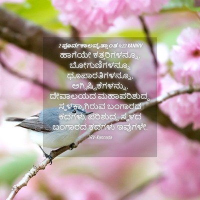 Picture 04 - 2 ಪೂರ್ವಕಾಲವೃತ್ತಾಂತ 4:22 KANIRV - ಹಾಗೆಯೇ - Bible Verse Picture
