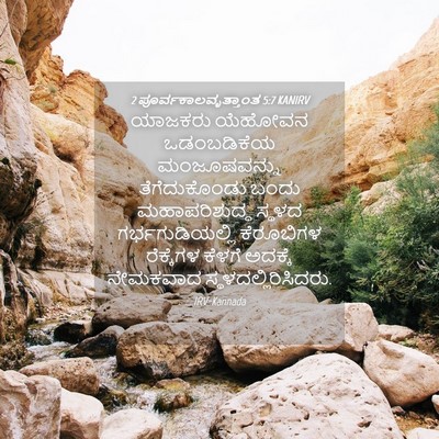 Picture 04 - 2 ಪೂರ್ವಕಾಲವೃತ್ತಾಂತ 5:7 KANIRV - ಯಾಜಕರು ಯೆಹೋವನ - Bible Verse Picture
