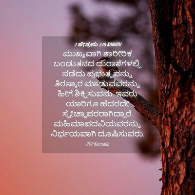Picture 04 - 2 ಪೇತ್ರನು 2:10 KANIRV - ಮುಖ್ಯವಾಗಿ ಶಾರೀರಿಕ - Bible Verse Picture