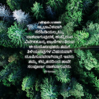 Picture 04 - 2 ಪೇತ್ರನು 2:12 KANIRV - ಸ್ವಾಭಾವಿಕವಾಗಿ - Bible Verse Picture