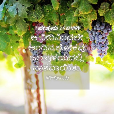Picture 04 - 2 ಪೇತ್ರನು 3:6 KANIRV - ಆ ನೀರಿನಿಂದಲೇ - Bible Verse Picture