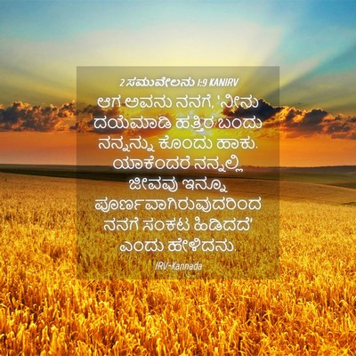 Picture 04 - 2 ಸಮುವೇಲನು 1:9 KANIRV - ಆಗ ಅವನು ನನಗೆ, ‘ನೀನು - Bible Verse Picture