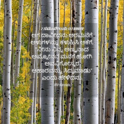 Picture 04 - 2 ಸಮುವೇಲನು 13:7 KANIRV - ಆಗ ದಾವೀದನು - Bible Verse Picture