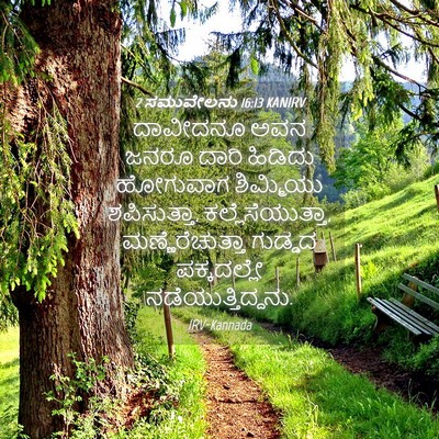 Picture 04 - 2 ಸಮುವೇಲನು 16:13 KANIRV - ದಾವೀದನೂ ಅವನ ಜನರೂ - Bible Verse Picture