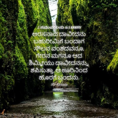 Picture 04 - 2 ಸಮುವೇಲನು 16:5 KANIRV - ಅರಸನಾದ ದಾವೀದನು - Bible Verse Picture