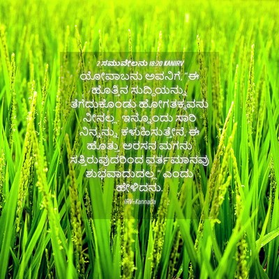 Picture 04 - 2 ಸಮುವೇಲನು 18:20 KANIRV - ಯೋವಾಬನು ಅವನಿಗೆ, “ಈ - Bible Verse Picture