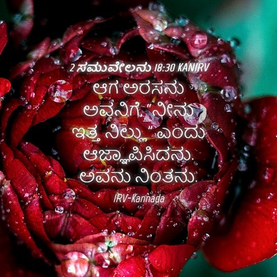Picture 04 - 2 ಸಮುವೇಲನು 18:30 KANIRV - ಆಗ ಅರಸನು ಅವನಿಗೆ, - Bible Verse Picture