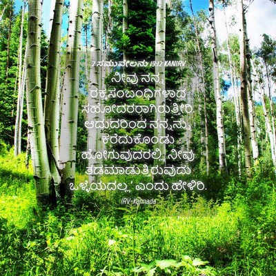 Picture 04 - 2 ಸಮುವೇಲನು 19:12 KANIRV - ನೀವು ನನ್ನ - Bible Verse Picture