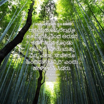 Picture 04 - 2 ಸಮುವೇಲನು 19:14 KANIRV - ಆಗ ಯೆಹೂದ್ಯರೆಲ್ಲರೂ - Bible Verse Picture