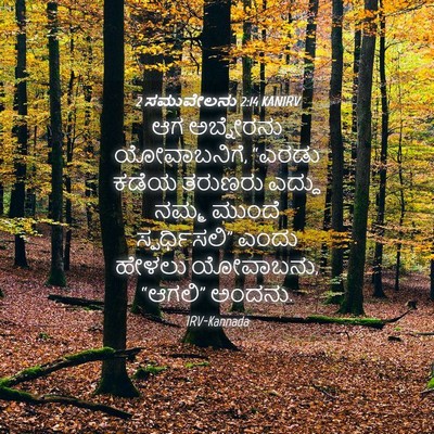 Picture 04 - 2 ಸಮುವೇಲನು 2:14 KANIRV - ಆಗ ಅಬ್ನೇರನು - Bible Verse Picture