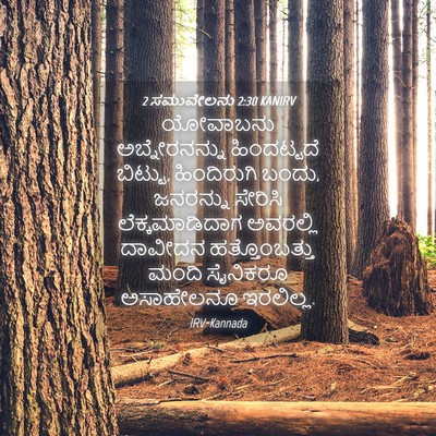 Picture 04 - 2 ಸಮುವೇಲನು 2:30 KANIRV - ಯೋವಾಬನು - Bible Verse Picture