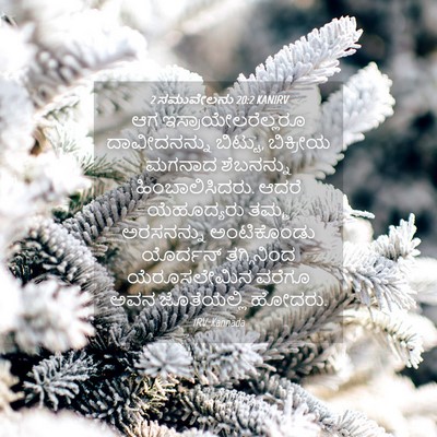 Picture 04 - 2 ಸಮುವೇಲನು 20:2 KANIRV - ಆಗ - Bible Verse Picture