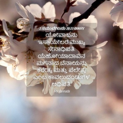 Picture 04 - 2 ಸಮುವೇಲನು 20:23 KANIRV - ಯೋವಾಬನು ಇಸ್ರಾಯೇಲರ - Bible Verse Picture