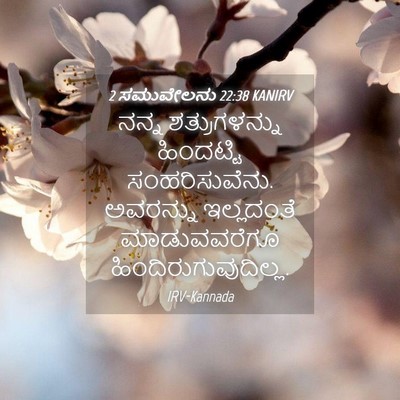 Picture 04 - 2 ಸಮುವೇಲನು 22:38 KANIRV - ನನ್ನ ಶತ್ರುಗಳನ್ನು - Bible Verse Picture