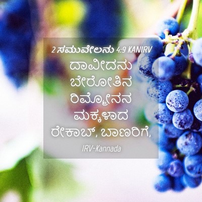 Picture 04 - 2 ಸಮುವೇಲನು 4:9 KANIRV - ದಾವೀದನು ಬೇರೋತಿನ - Bible Verse Picture