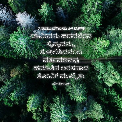 Picture 04 - 2 ಸಮುವೇಲನು 8:9 KANIRV - ದಾವೀದನು ಹದದೆಜೆರನ - Bible Verse Picture