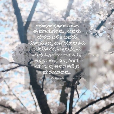 Picture 04 - ಅಪೊಸ್ತಲರ ಕೃತ್ಯಗಳು 1:9 KANIRV - ಈ ಮಾತುಗಳನ್ನು ಅವನು - Bible Verse Picture