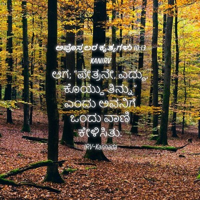 Picture 04 - ಅಪೊಸ್ತಲರ ಕೃತ್ಯಗಳು 10:13 KANIRV - ಆಗ; “ಪೇತ್ರನೇ, - Bible Verse Picture