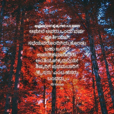 Picture 04 - ಅಪೊಸ್ತಲರ ಕೃತ್ಯಗಳು 11:26 KANIRV - ಆಮೇಲೆ ಅವರು ಒಂದು - Bible Verse Picture