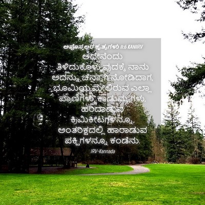 Picture 04 - ಅಪೊಸ್ತಲರ ಕೃತ್ಯಗಳು 11:6 KANIRV - ಅದೇನೆಂದು - Bible Verse Picture
