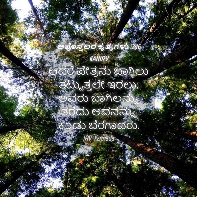 Picture 04 - ಅಪೊಸ್ತಲರ ಕೃತ್ಯಗಳು 12:16 KANIRV - ಆದರೆ ಪೇತ್ರನು - Bible Verse Picture