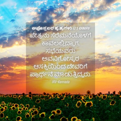 Picture 04 - ಅಪೊಸ್ತಲರ ಕೃತ್ಯಗಳು 12:5 KANIRV - ಪೇತ್ರನು - Bible Verse Picture