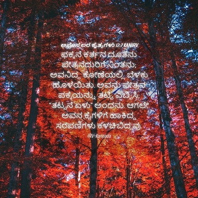 Picture 04 - ಅಪೊಸ್ತಲರ ಕೃತ್ಯಗಳು 12:7 KANIRV - ಫಕ್ಕನೆ ಕರ್ತನ - Bible Verse Picture