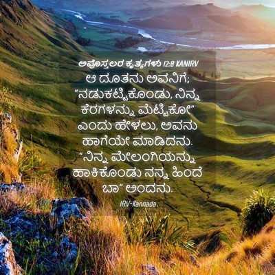 Picture 04 - ಅಪೊಸ್ತಲರ ಕೃತ್ಯಗಳು 12:8 KANIRV - ಆ ದೂತನು ಅವನಿಗೆ; - Bible Verse Picture