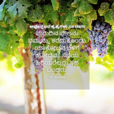 Picture 04 - ಅಪೊಸ್ತಲರ ಕೃತ್ಯಗಳು 21:18 KANIRV - ಮರುದಿನ ಪೌಲನು - Bible Verse Picture
