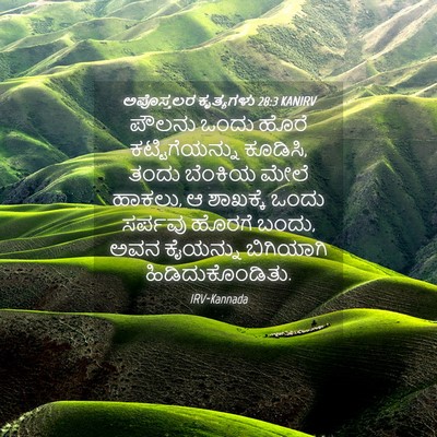 Picture 04 - ಅಪೊಸ್ತಲರ ಕೃತ್ಯಗಳು 28:3 KANIRV - ಪೌಲನು ಒಂದು ಹೊರೆ - Bible Verse Picture