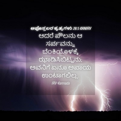 Picture 04 - ಅಪೊಸ್ತಲರ ಕೃತ್ಯಗಳು 28:5 KANIRV - ಆದರೆ ಪೌಲನು ಆ - Bible Verse Picture