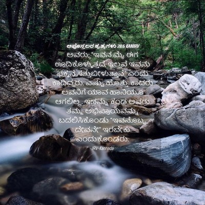 Picture 04 - ಅಪೊಸ್ತಲರ ಕೃತ್ಯಗಳು 28:6 KANIRV - ಅವರು; “ಇವನ ಮೈ ಈಗ - Bible Verse Picture