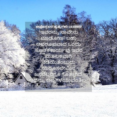Picture 04 - ಅಪೊಸ್ತಲರ ಕೃತ್ಯಗಳು 4:16 KANIRV - “ಇವರನ್ನು ನಾವೇನು - Bible Verse Picture