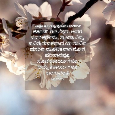Picture 04 - ಅಪೊಸ್ತಲರ ಕೃತ್ಯಗಳು 4:29 KANIRV - ಕರ್ತನೇ, ಈಗ ನೀನು ಅವರ - Bible Verse Picture
