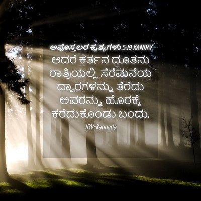 Picture 04 - ಅಪೊಸ್ತಲರ ಕೃತ್ಯಗಳು 5:19 KANIRV - ಆದರೆ ಕರ್ತನ ದೂತನು - Bible Verse Picture