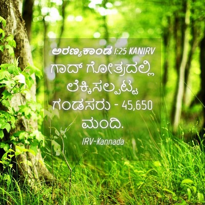 Picture 04 - ಅರಣ್ಯಕಾಂಡ 1:25 KANIRV - ಗಾದ್ ಗೋತ್ರದಲ್ಲಿ - Bible Verse Picture