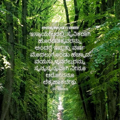 Picture 04 - ಅರಣ್ಯಕಾಂಡ 1:3 KANIRV - ಇಸ್ರಾಯೇಲರಲ್ಲಿ - Bible Verse Picture