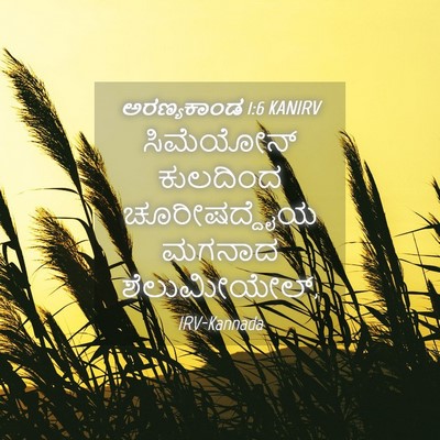 Picture 04 - ಅರಣ್ಯಕಾಂಡ 1:6 KANIRV - ಸಿಮೆಯೋನ್ ಕುಲದಿಂದ - Bible Verse Picture