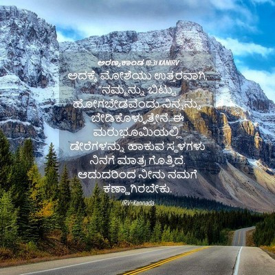 Picture 04 - ಅರಣ್ಯಕಾಂಡ 10:31 KANIRV - ಅದಕ್ಕೆ ಮೋಶೆಯು - Bible Verse Picture