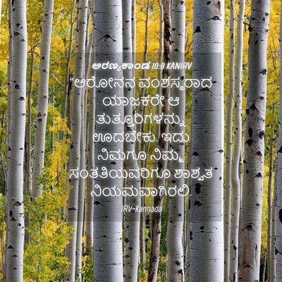 Picture 04 - ಅರಣ್ಯಕಾಂಡ 10:8 KANIRV - “ಆರೋನನ ವಂಶಸ್ಥರಾದ - Bible Verse Picture