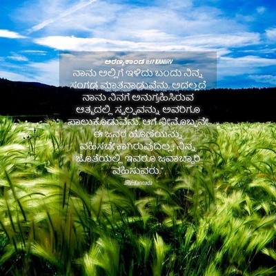 Picture 04 - ಅರಣ್ಯಕಾಂಡ 11:17 KANIRV - ನಾನು ಅಲ್ಲಿಗೆ - Bible Verse Picture
