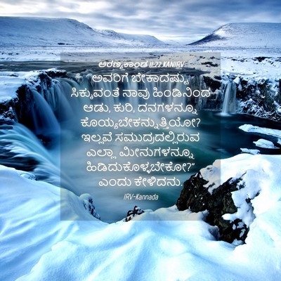 Picture 04 - ಅರಣ್ಯಕಾಂಡ 11:22 KANIRV - ಅವರಿಗೆ ಬೇಕಾದಷ್ಟು - Bible Verse Picture