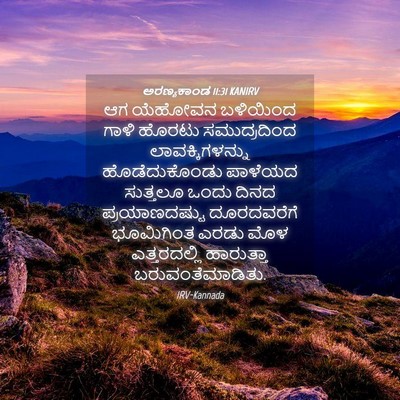 Picture 04 - ಅರಣ್ಯಕಾಂಡ 11:31 KANIRV - ಆಗ ಯೆಹೋವನ ಬಳಿಯಿಂದ - Bible Verse Picture