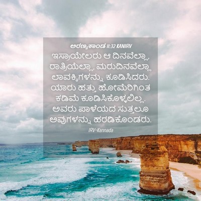 Picture 04 - ಅರಣ್ಯಕಾಂಡ 11:32 KANIRV - ಇಸ್ರಾಯೇಲರು ಆ - Bible Verse Picture